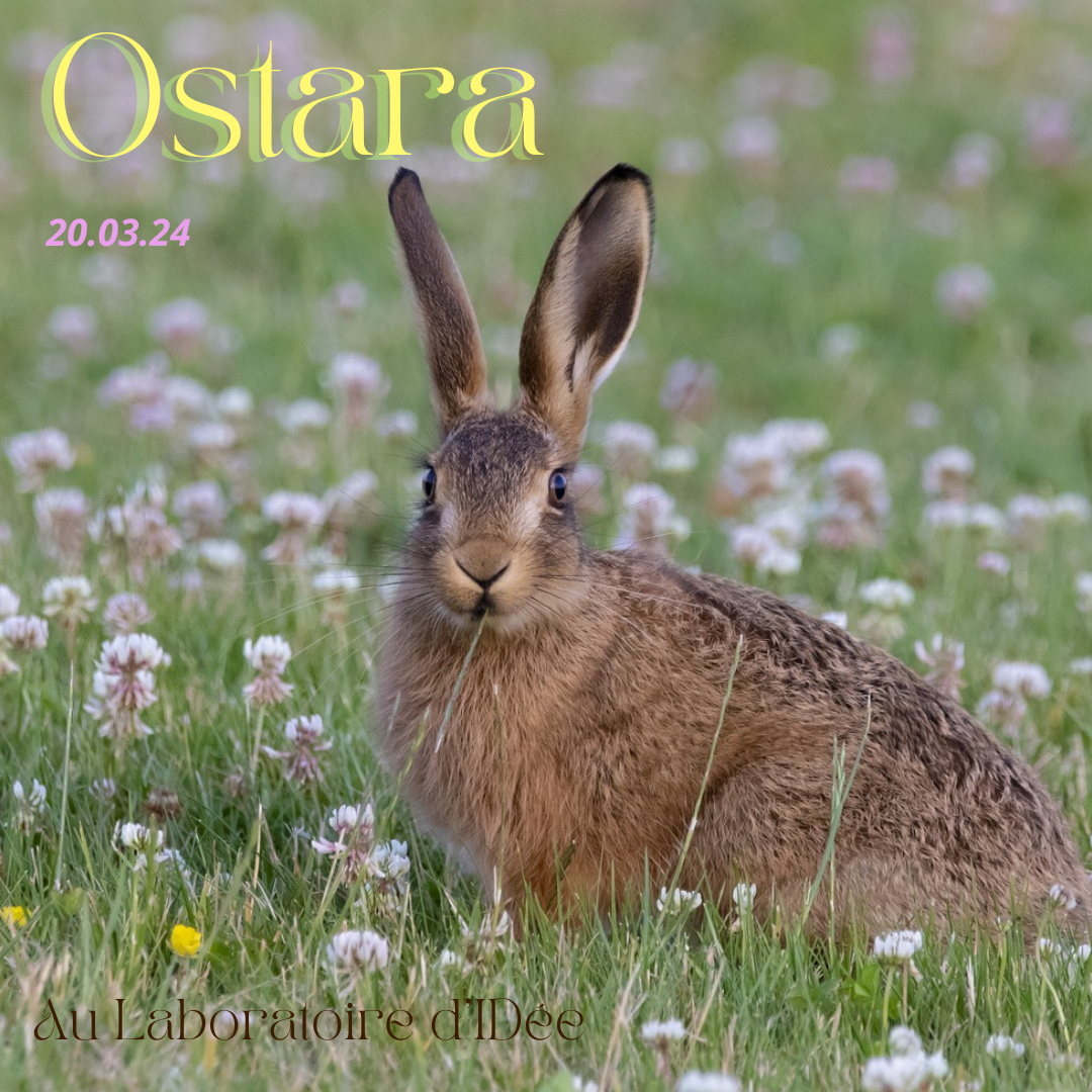 Ostara
